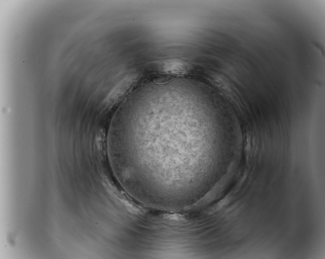 X0000102240424200808011252