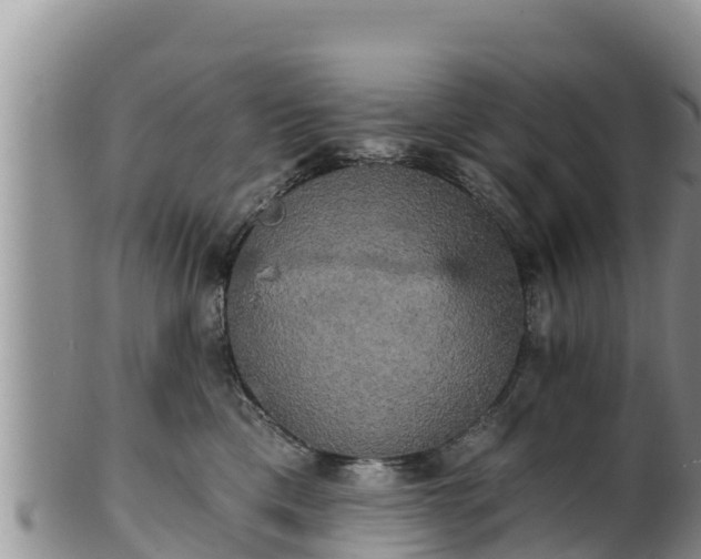 X0000102240425200808011252