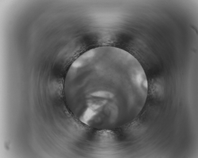 X0000102240427200808011252