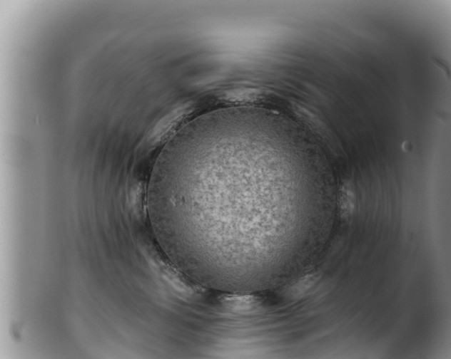 X0000102240428200808011252