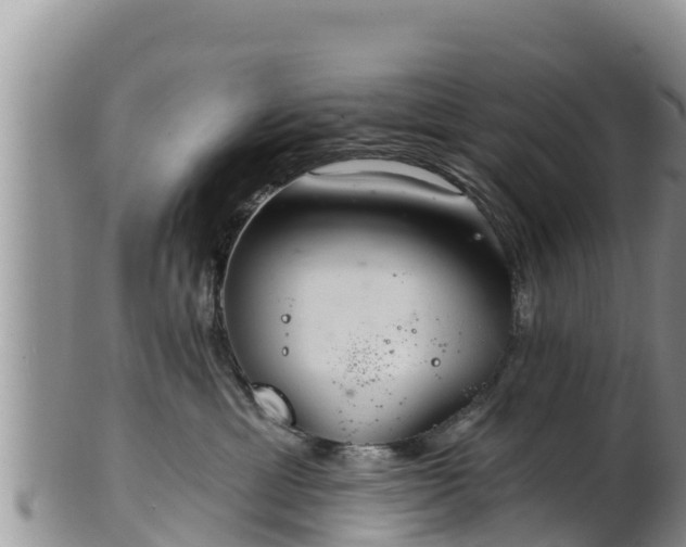 X0000102240429200808011252