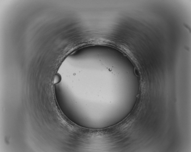 X0000102240433200808011251