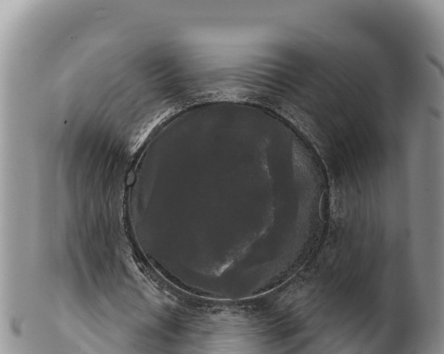 X0000102240434200808011251