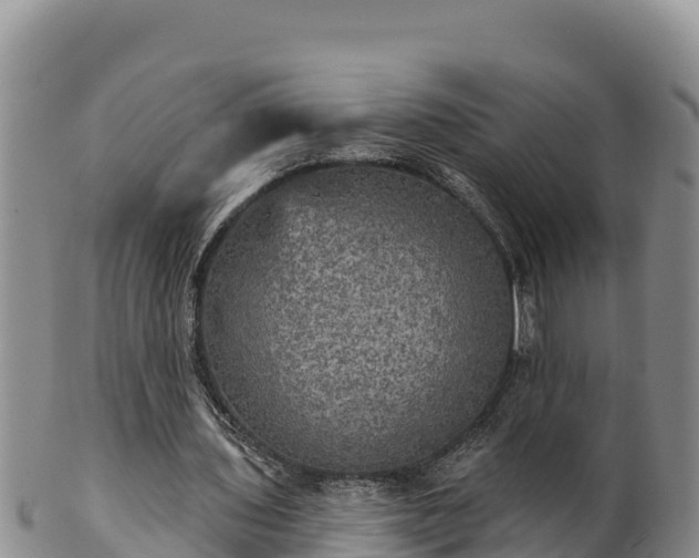 X0000102240435200808011252