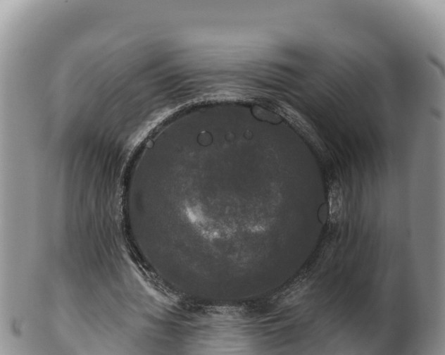 X0000102240436200808011252