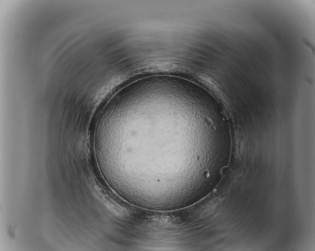 X0000102240439200808011252