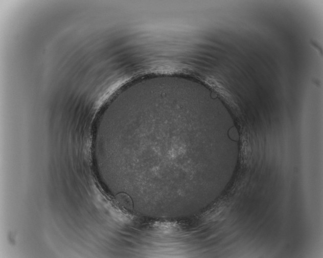 X0000102240440200808011252