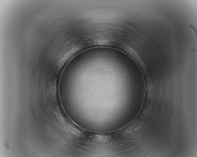 X0000102240442200808011252