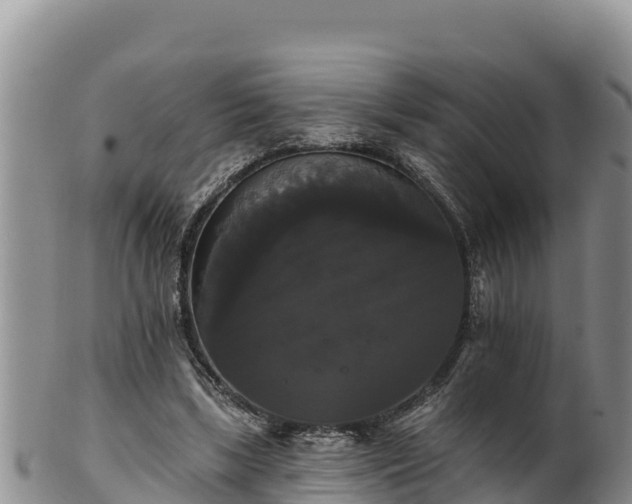 X0000102240443200808011252