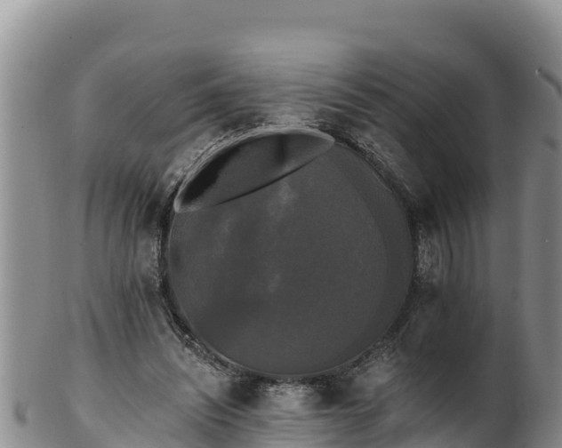 X0000102240444200808011252