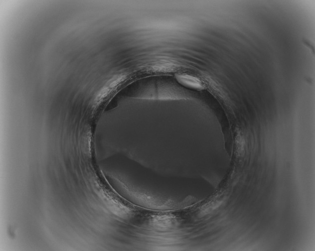 X0000102240446200808011252