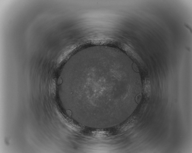 X0000102240448200808011252