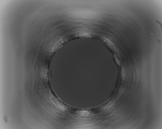 X0000102240449200808011252