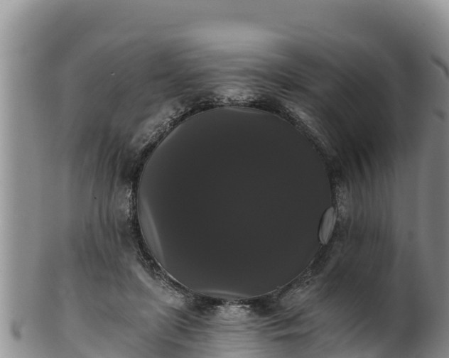 X0000102240451200808011252