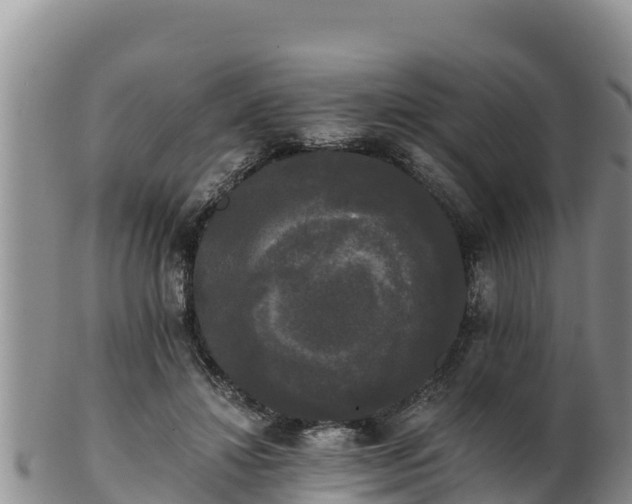 X0000102240452200808011252