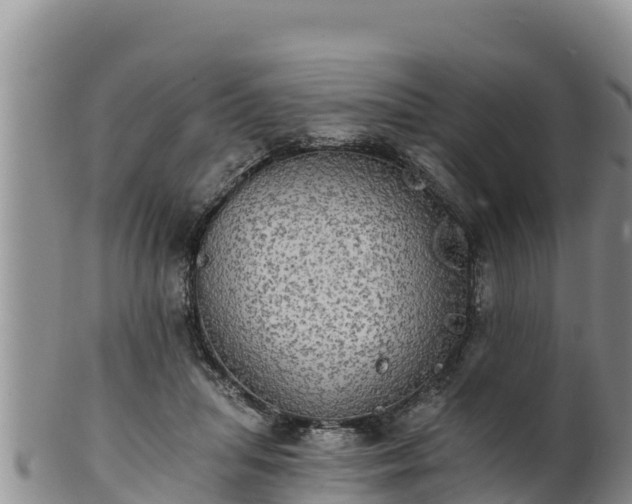 X0000102240455200808011252