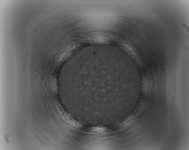 X0000102240457200808011252