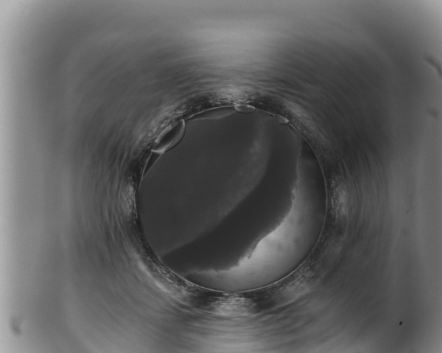 X0000102240459200808011252