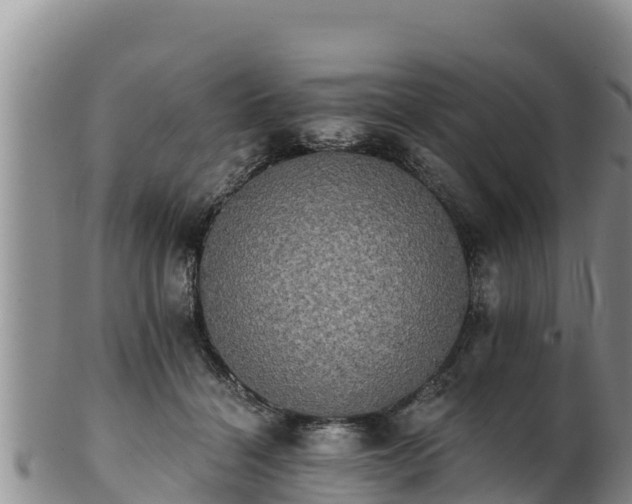 X0000102240460200808011252