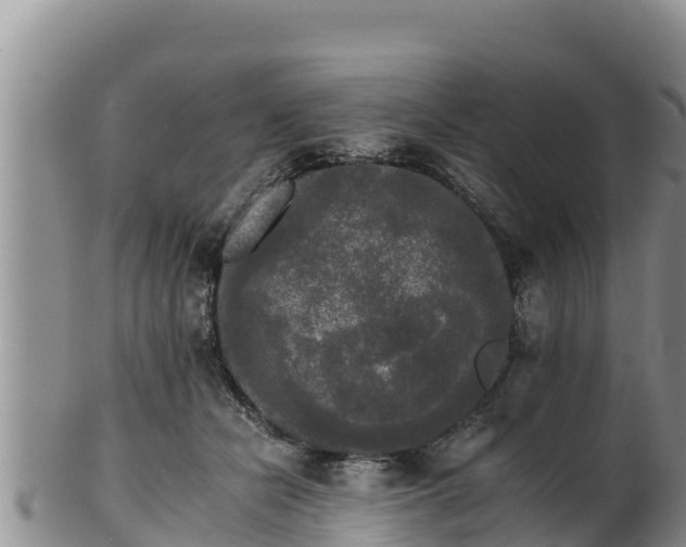 X0000102240462200808011252