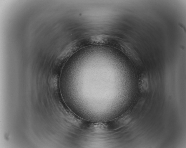 X0000102240466200808011252