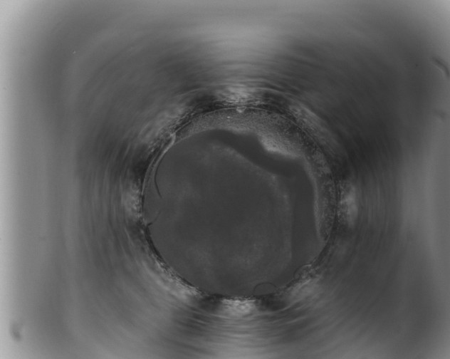 X0000102240469200808011252