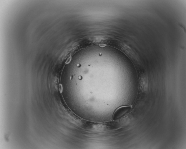 X0000102240470200808011252