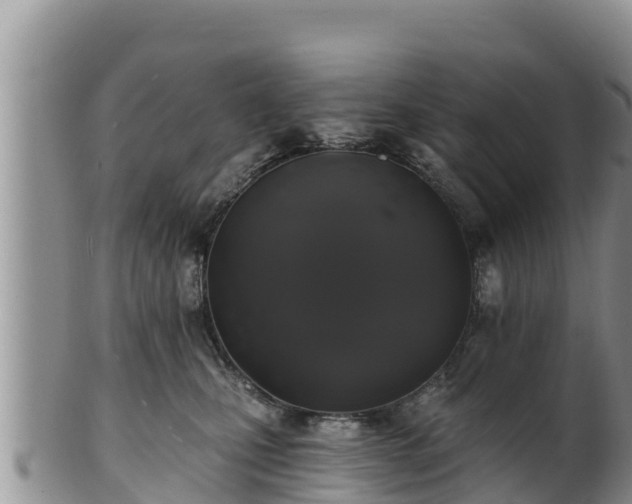 X0000102240471200808011252