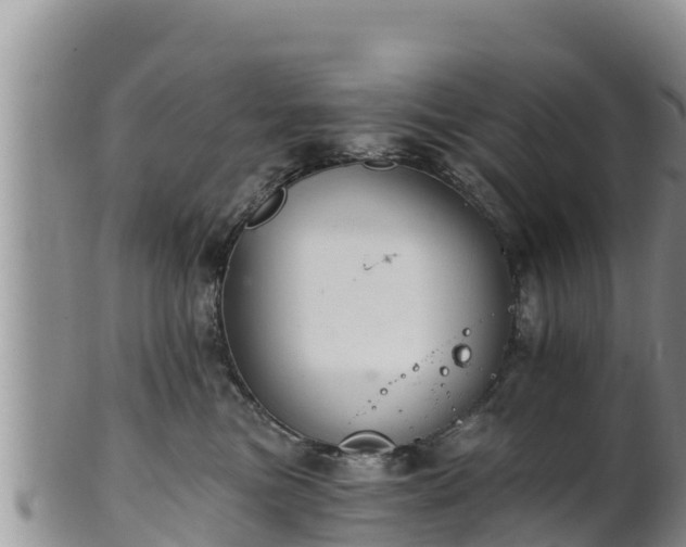 X0000102240473200808011252