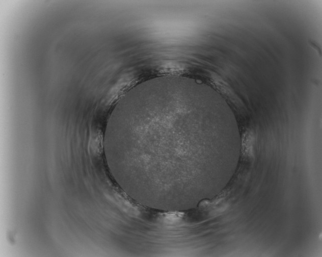 X0000102240474200808011252