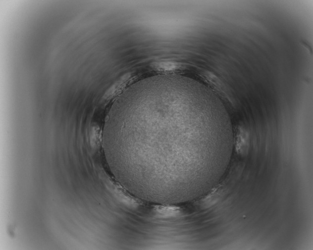 X0000102240476200808011252