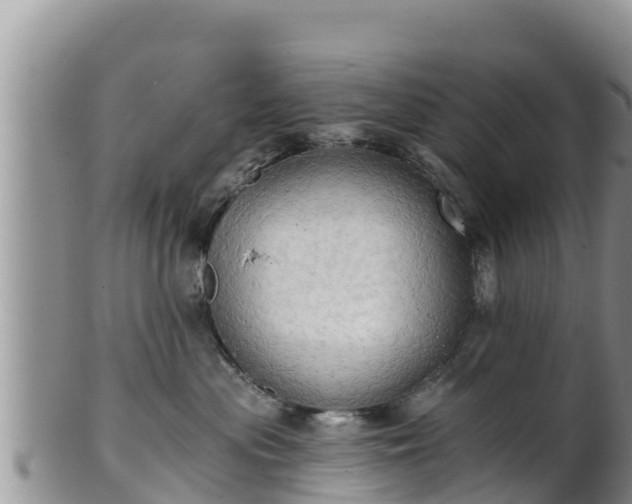 X0000102240477200808011252