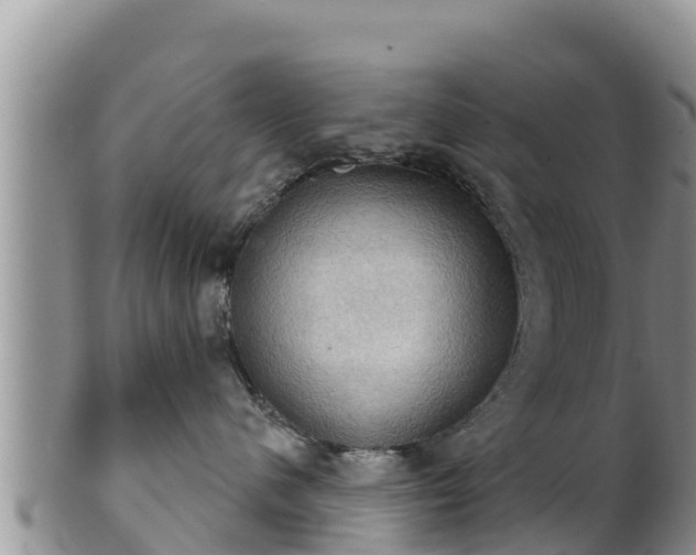 X0000102240480200808011252