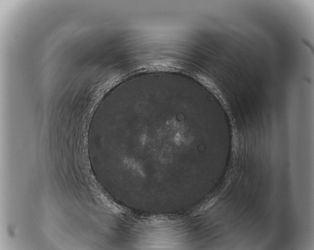 X0000102240481200808011251