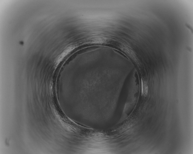 X0000102240483200808011251