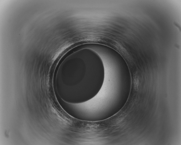 X0000102240484200808011251