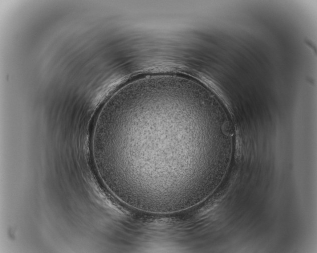 X0000102240485200808011251