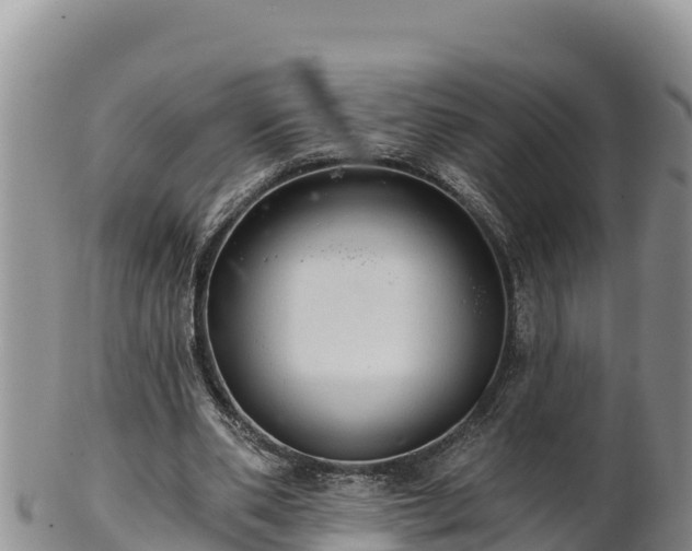 X0000102240486200808011251