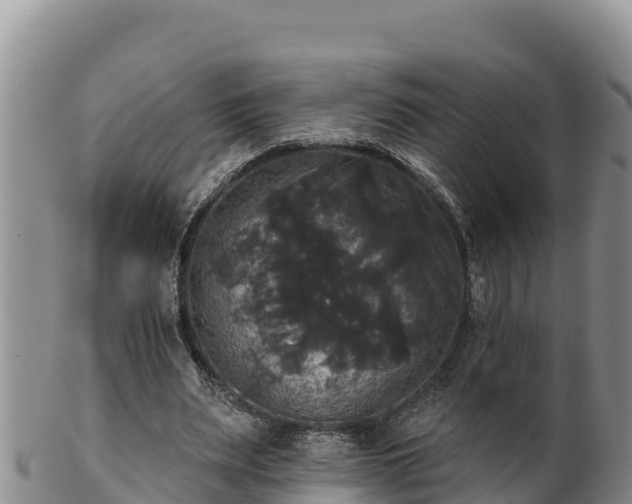 X0000102240487200808011251