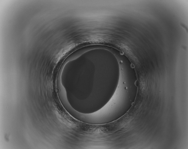 X0000102240488200808011251