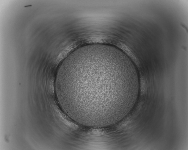 X0000102240489200808011251