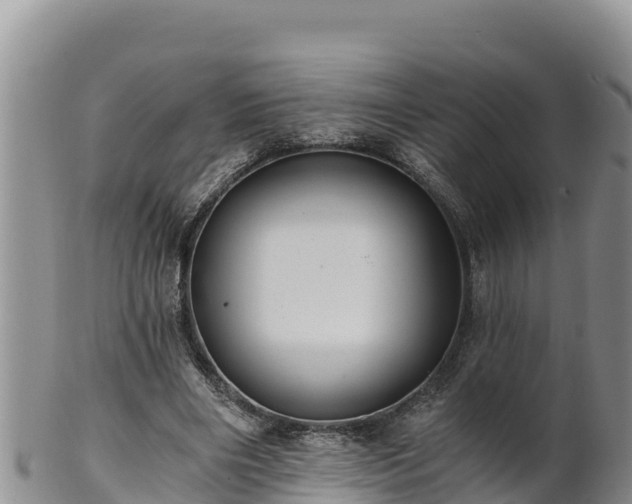 X0000102240490200808011251