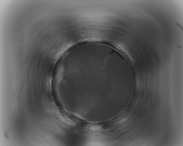 X0000102240491200808011251