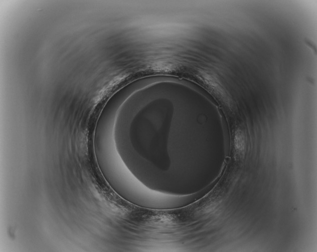 X0000102240492200808011251