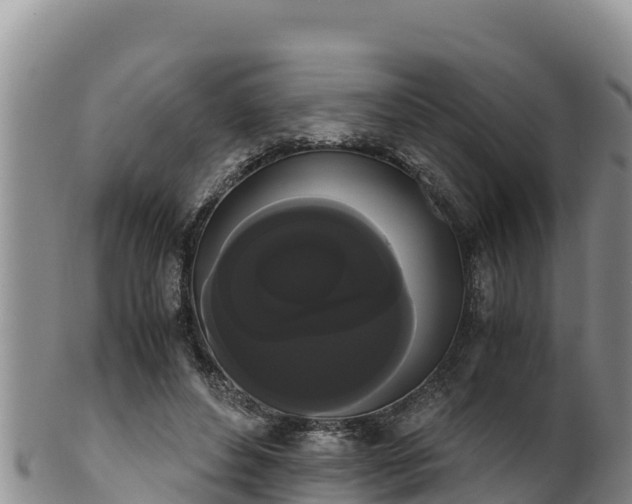 X0000102240496200808011251