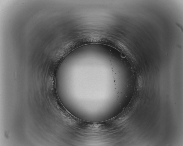 X0000102240497200808011251