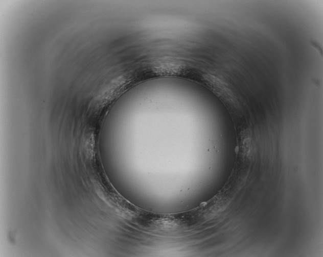 X0000102240498200808011251