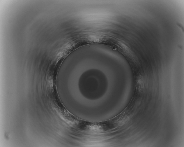 X0000102240500200808011251