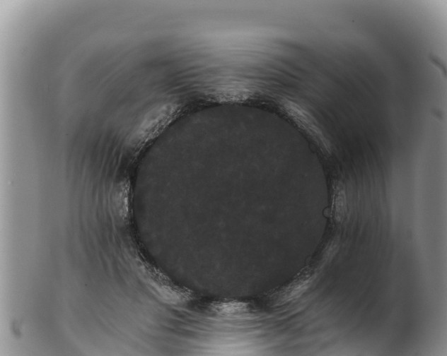 X0000102240501200808011251