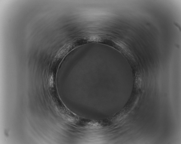 X0000102240502200808011251